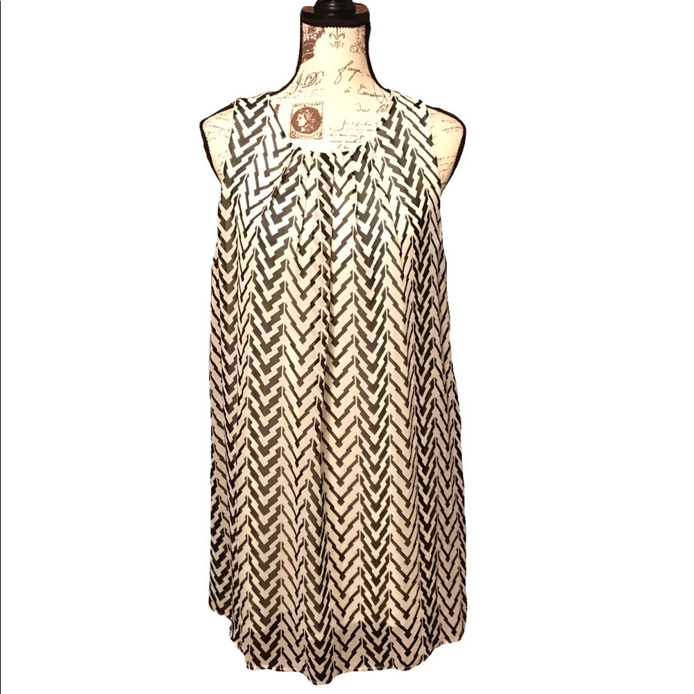 Francesca’s Black & White Swing Dress